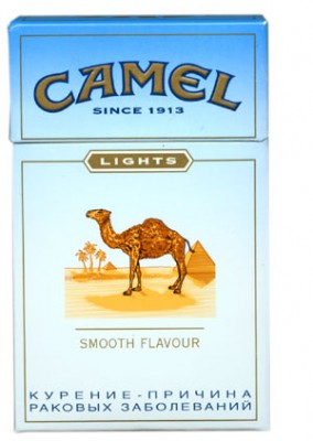 Camel.jpg