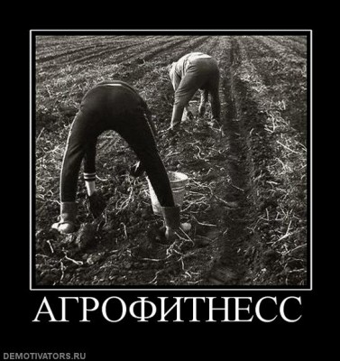 757406_agrofitness.jpg